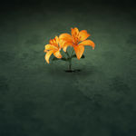 My-iPad-Retina-Wallpaper-Nature-orange-flowers-thumb